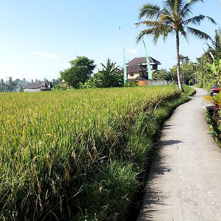 Jagi Villa Ubud Exterior foto