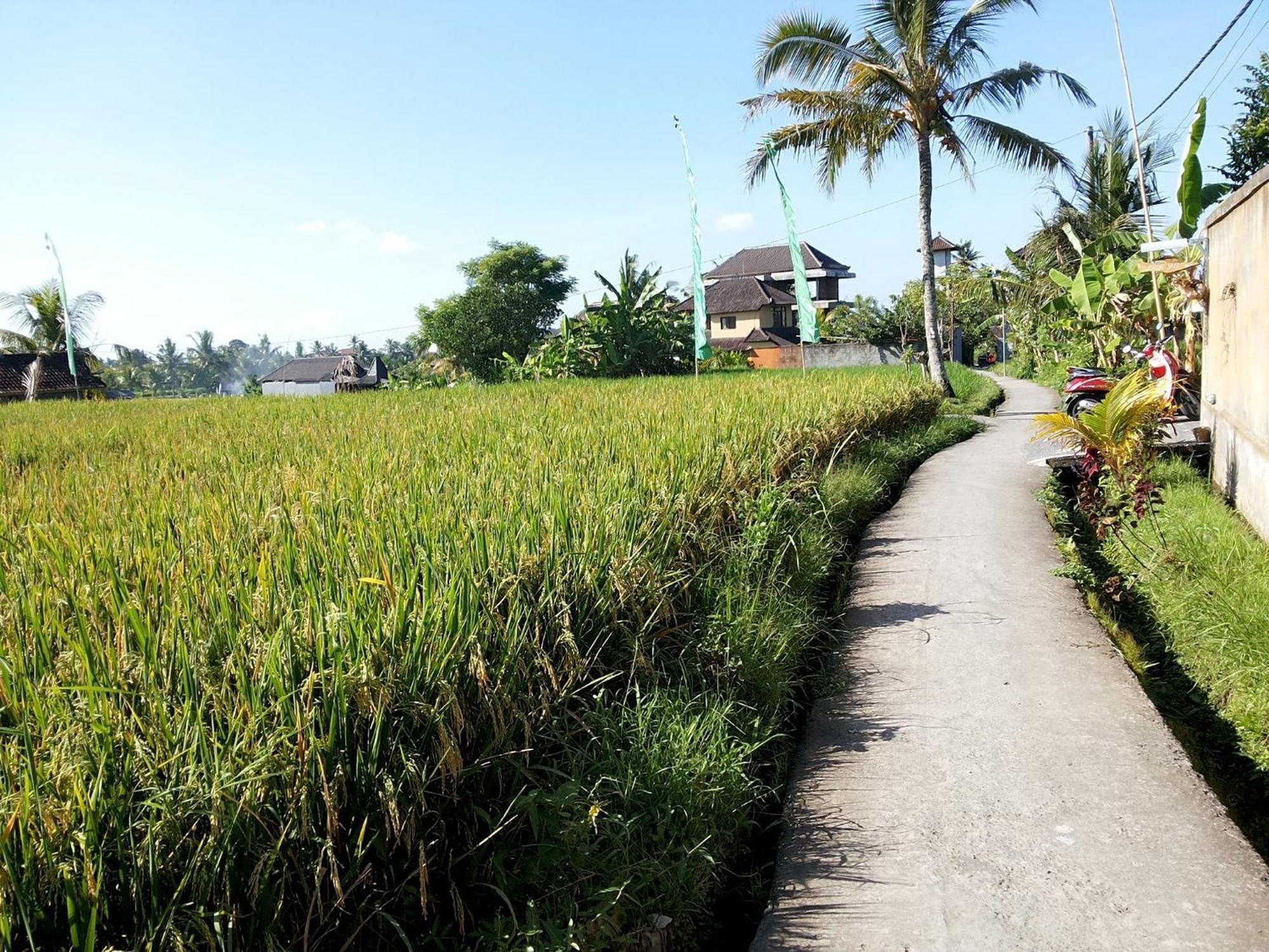 Jagi Villa Ubud Exterior foto